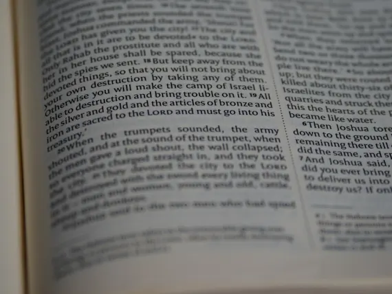 טופטאלי קזינו תמיכה